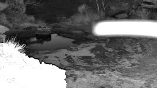 Still 2 from this detection