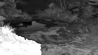 Still 3 from this detection