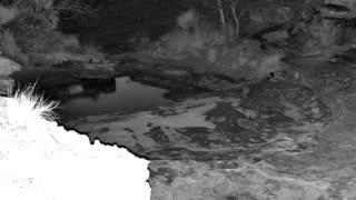Still 1 from this detection