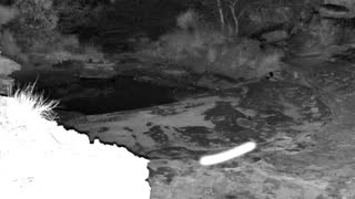 Still 3 from this detection