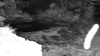 Still 3 from this detection