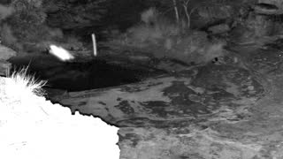 Still 2 from this detection