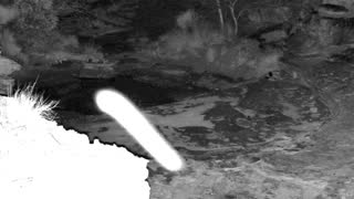 Still 3 from this detection