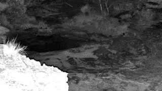 Still 3 from this detection