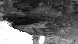 Still 3 from this detection