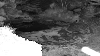 Still 3 from this detection