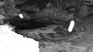 Still 3 from this detection