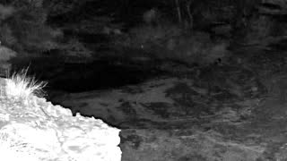 Still 3 from this detection