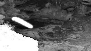 Still 3 from this detection