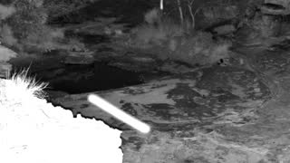 Still 2 from this detection