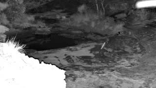 Still 3 from this detection