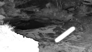 Still 3 from this detection