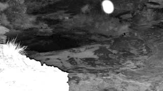 Still 3 from this detection