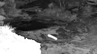 Still 1 from this detection