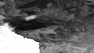 Still 3 from this detection