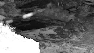 Still 3 from this detection