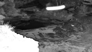 Still 2 from this detection