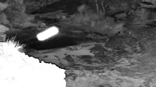 Still 2 from this detection