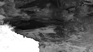 Still 3 from this detection