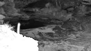Still 3 from this detection