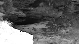 Still 3 from this detection