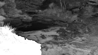 Still 3 from this detection