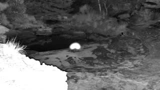 Still 1 from this detection