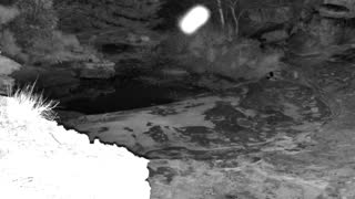 Still 2 from this detection