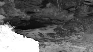 Still 2 from this detection