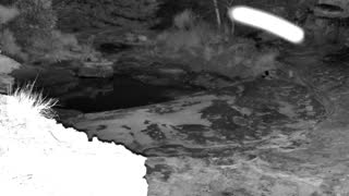 Still 3 from this detection