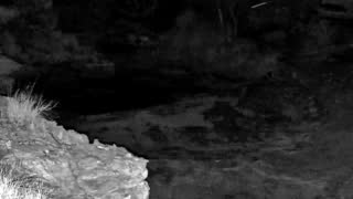 Still 3 from this detection