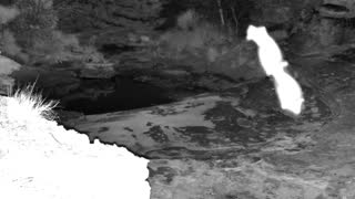 Still 2 from this detection