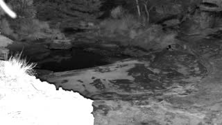 Still 1 from this detection
