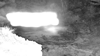 Still 2 from this detection