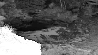 Still 1 from this detection