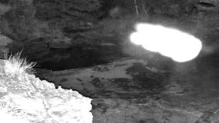 Still 1 from this detection