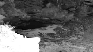 Still 1 from this detection