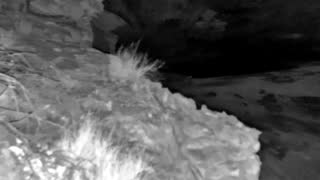Still 1 from this detection