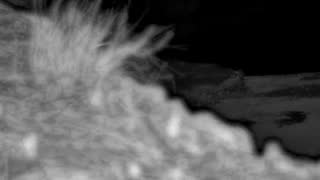 Still 2 from this detection