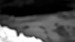 Still 3 from this detection