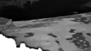 Still 1 from this detection