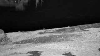 Still 3 from this detection