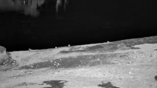 Still 2 from this detection