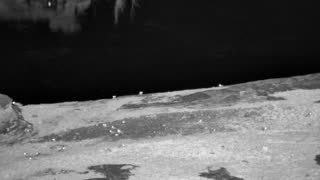 Still 3 from this detection