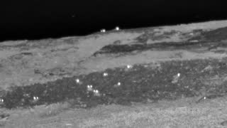 Still 1 from this detection