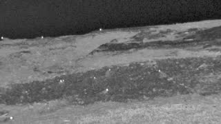 Still 1 from this detection