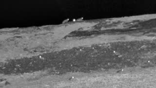 Still 1 from this detection