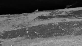 Still 2 from this detection