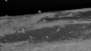 Still 2 from this detection