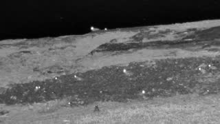 Still 3 from this detection